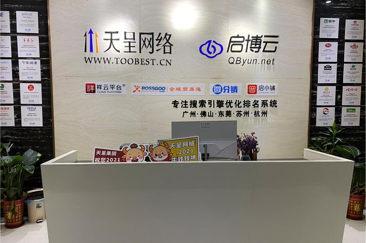 广州天呈网络技术 专业信息技术咨询服务的引领者