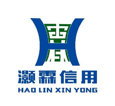 湖南省灏霖信用服务信息技术咨询服务 专业赋能，信达未来